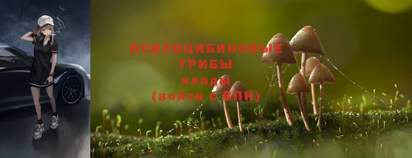 герыч Абаза