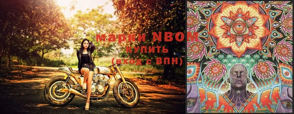 гашик Абинск