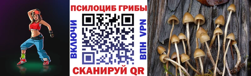 мега ССЫЛКА  Димитровград  Галлюциногенные грибы MAGIC MUSHROOMS 
